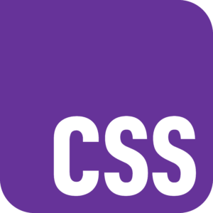 CSS Logo
